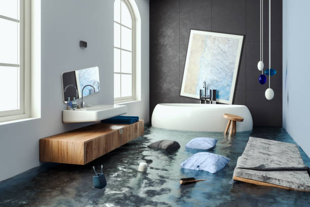 Best Residential water damage restoration  in Hayti, MO