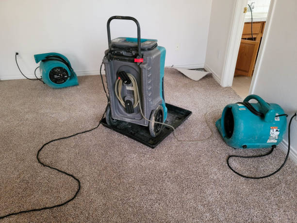Best Professional water damage repair  in Hayti, MO