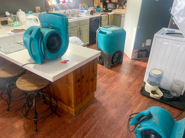 Best Emergency water damage restoration  in Hayti, MO
