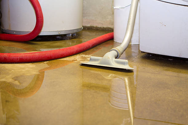Best 24/7 water damage repair  in Hayti, MO