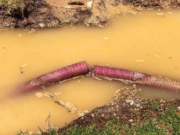 Best Emergency water extraction  in Hayti, MO