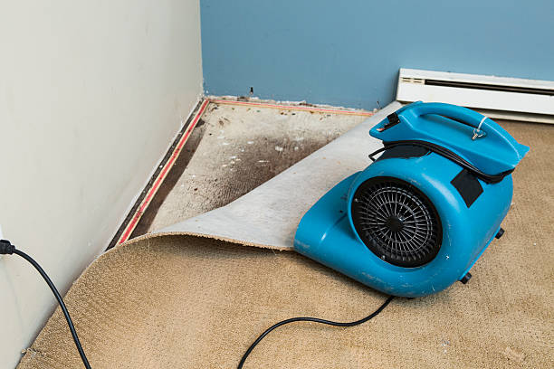 Carpet water damage restoration in MO